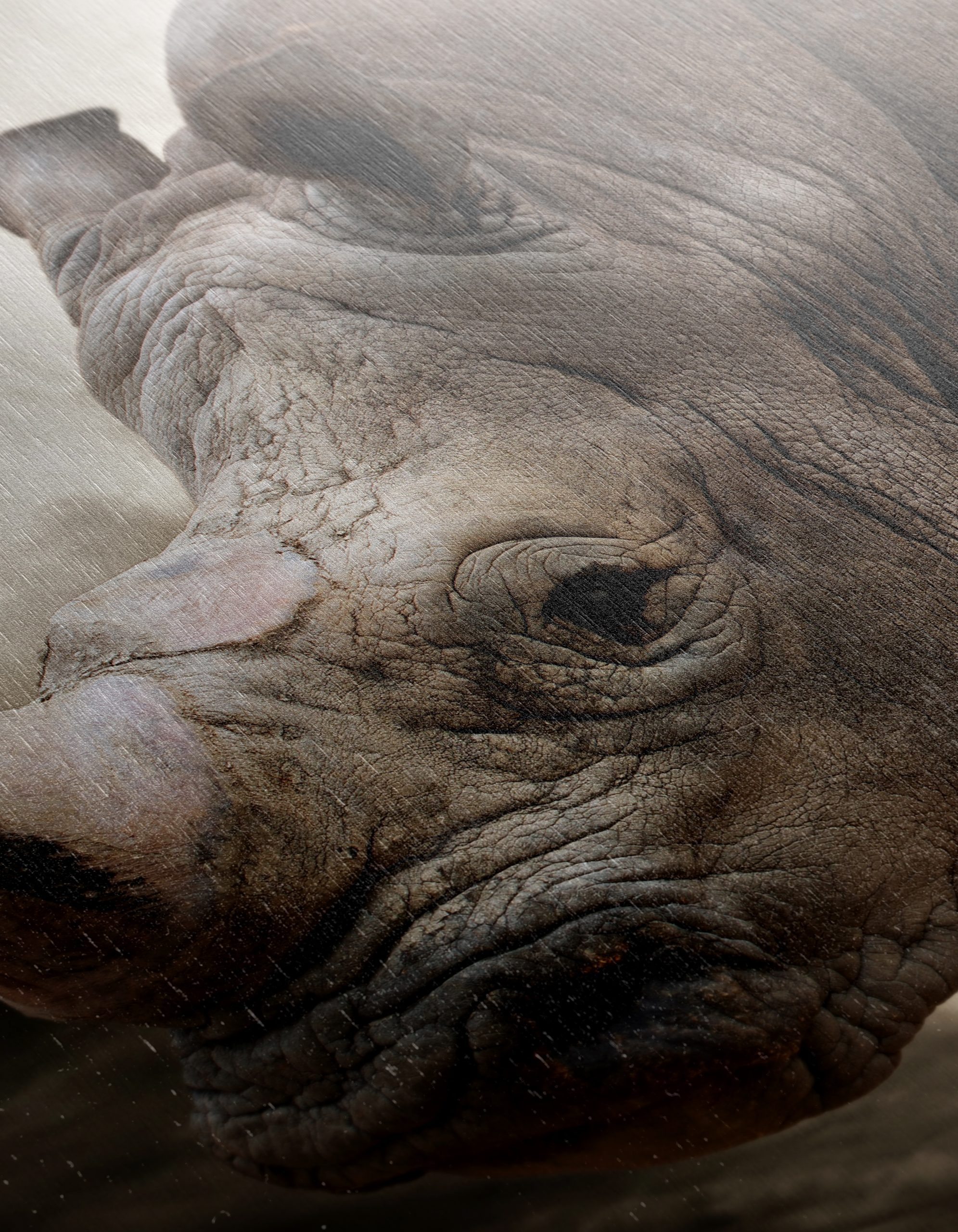 Majestic Rhinoceros in Dramatic Landscape - Image 12