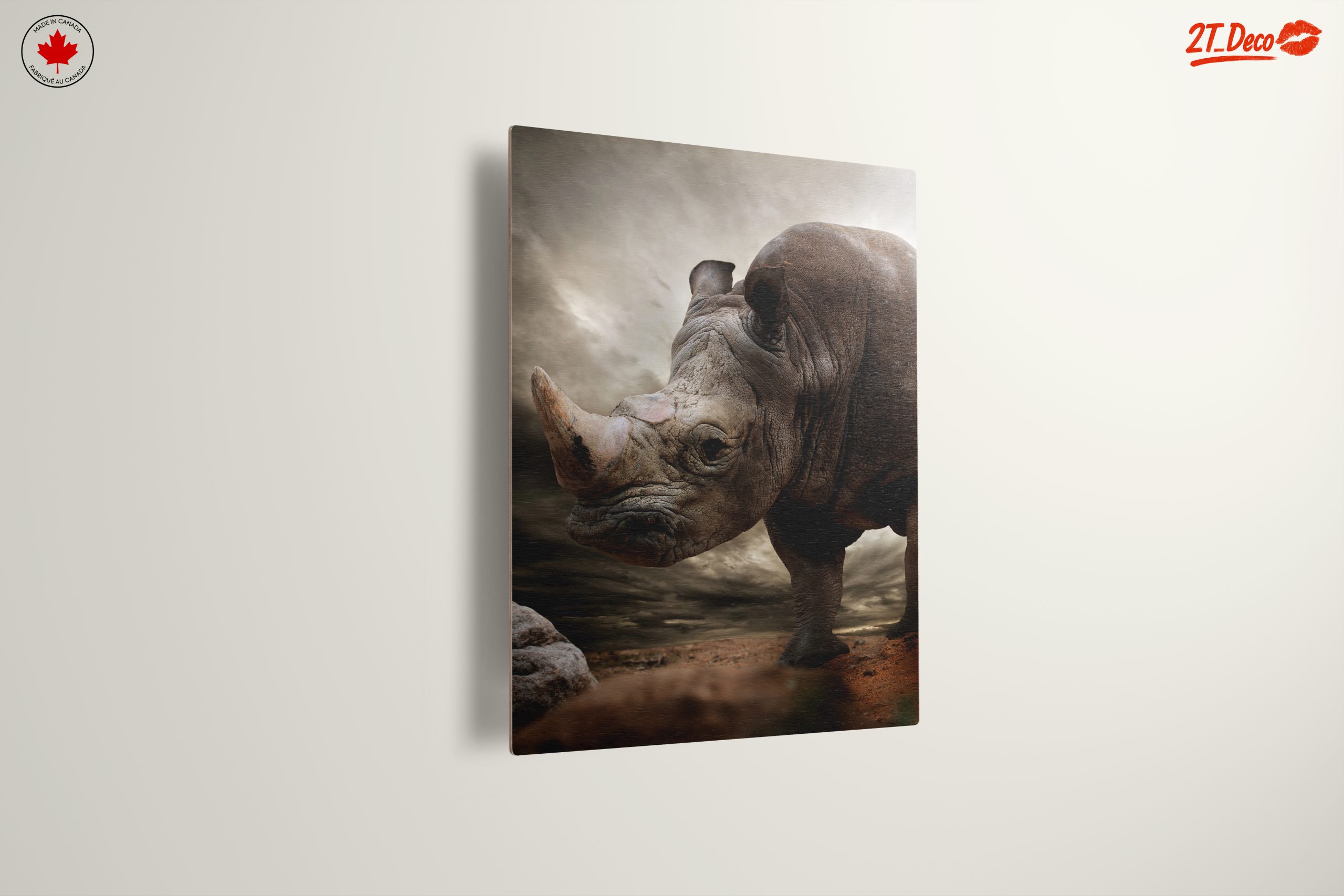 Majestic Rhinoceros in Dramatic Landscape - Image 13