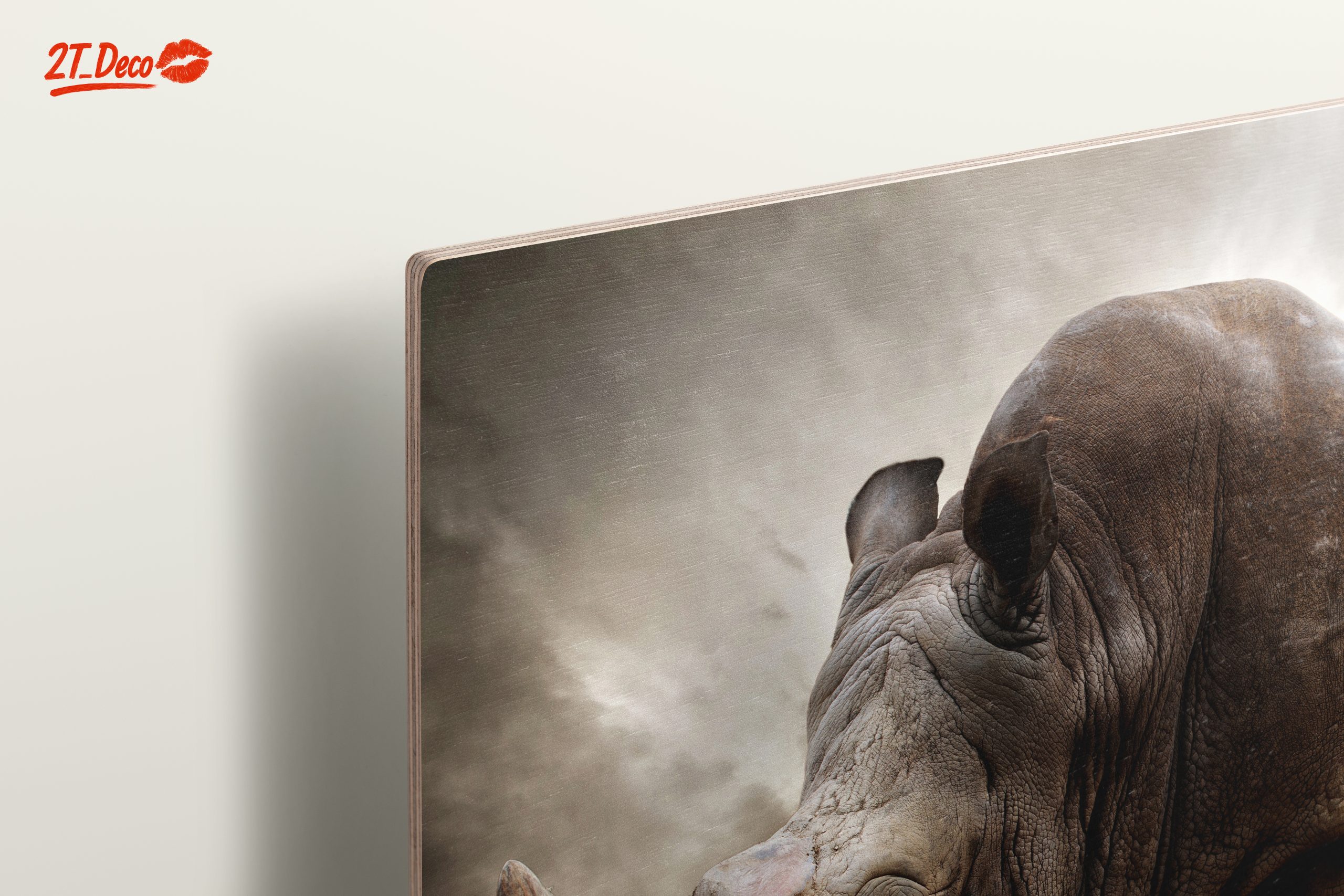 Majestic Rhinoceros in Dramatic Landscape - Image 15