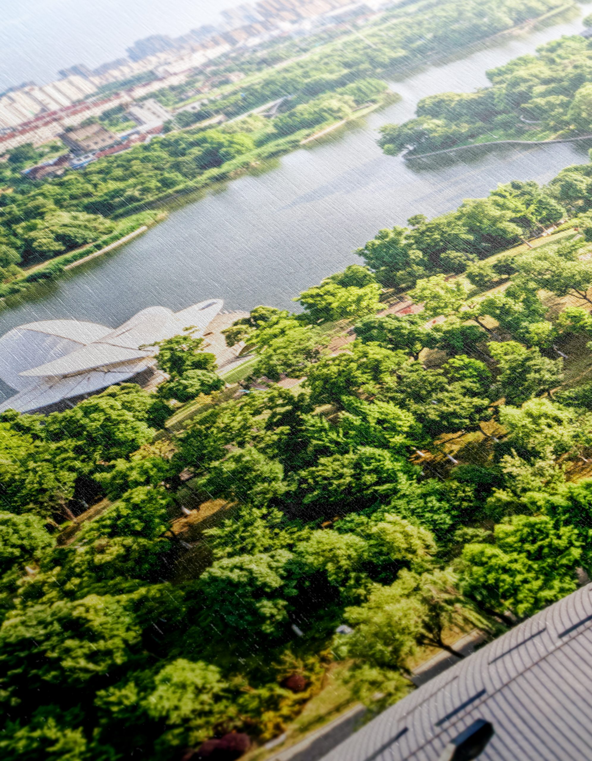 Vibrant Nature Landscape with Water and City - Image 12
