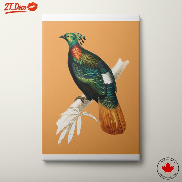 Colorful Bird Illustration on Orange Background