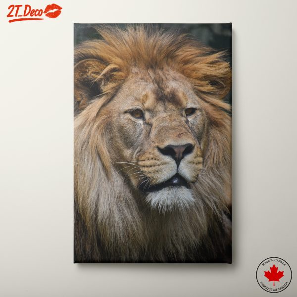 Majestic Lion Portrait for Wall Art
