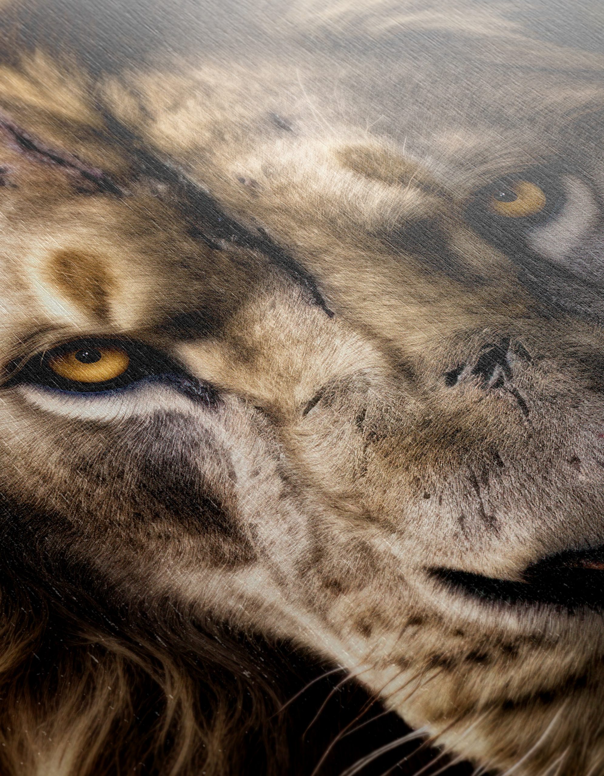 Majestic Lion Portrait Wall Art 3 - Image 12