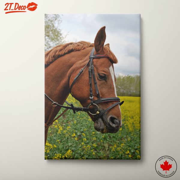 Elegant Horse Portrait in Natural Setting