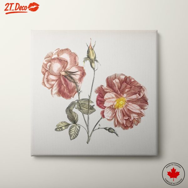 Vintage Floral Botanical Illustration
