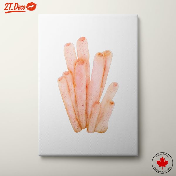 Delicate Coral Art in Subtle Colors