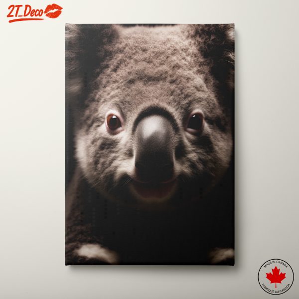 Koala Portrait in Soft Lighting