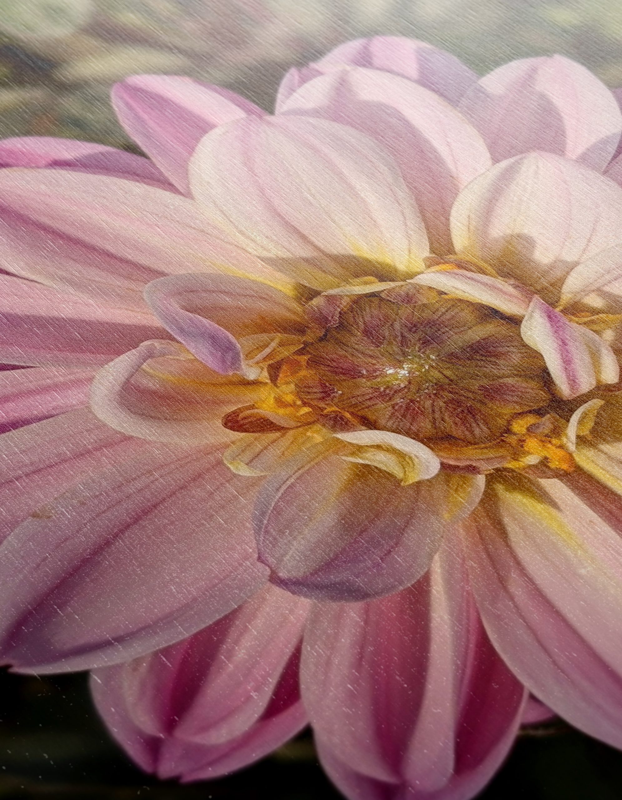 Stunning Pink Flower Artwork - Image 12