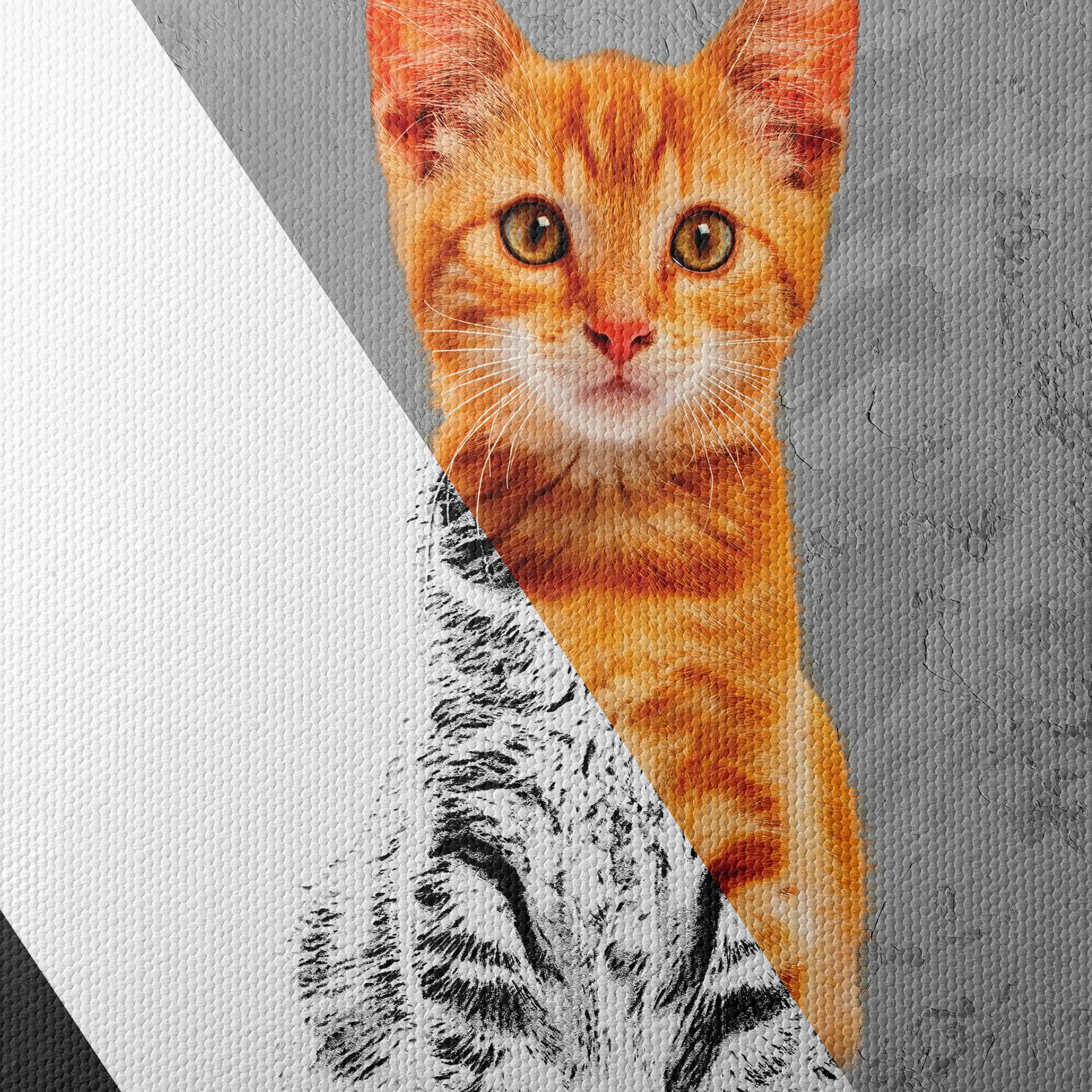 Stylized Cat Artwork in Modern Design - Image 4