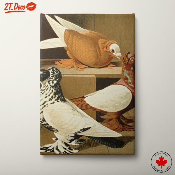 Artistic Depictions of Colorful Birds