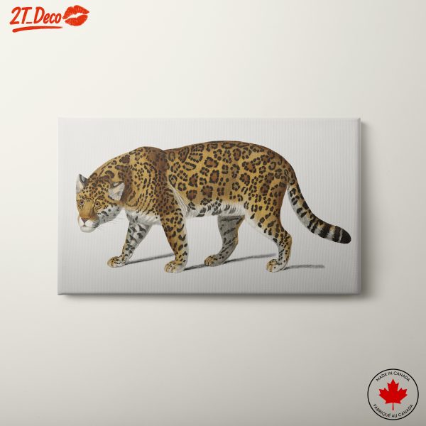 Stylized Jaguar Artwork for Animal Lovers