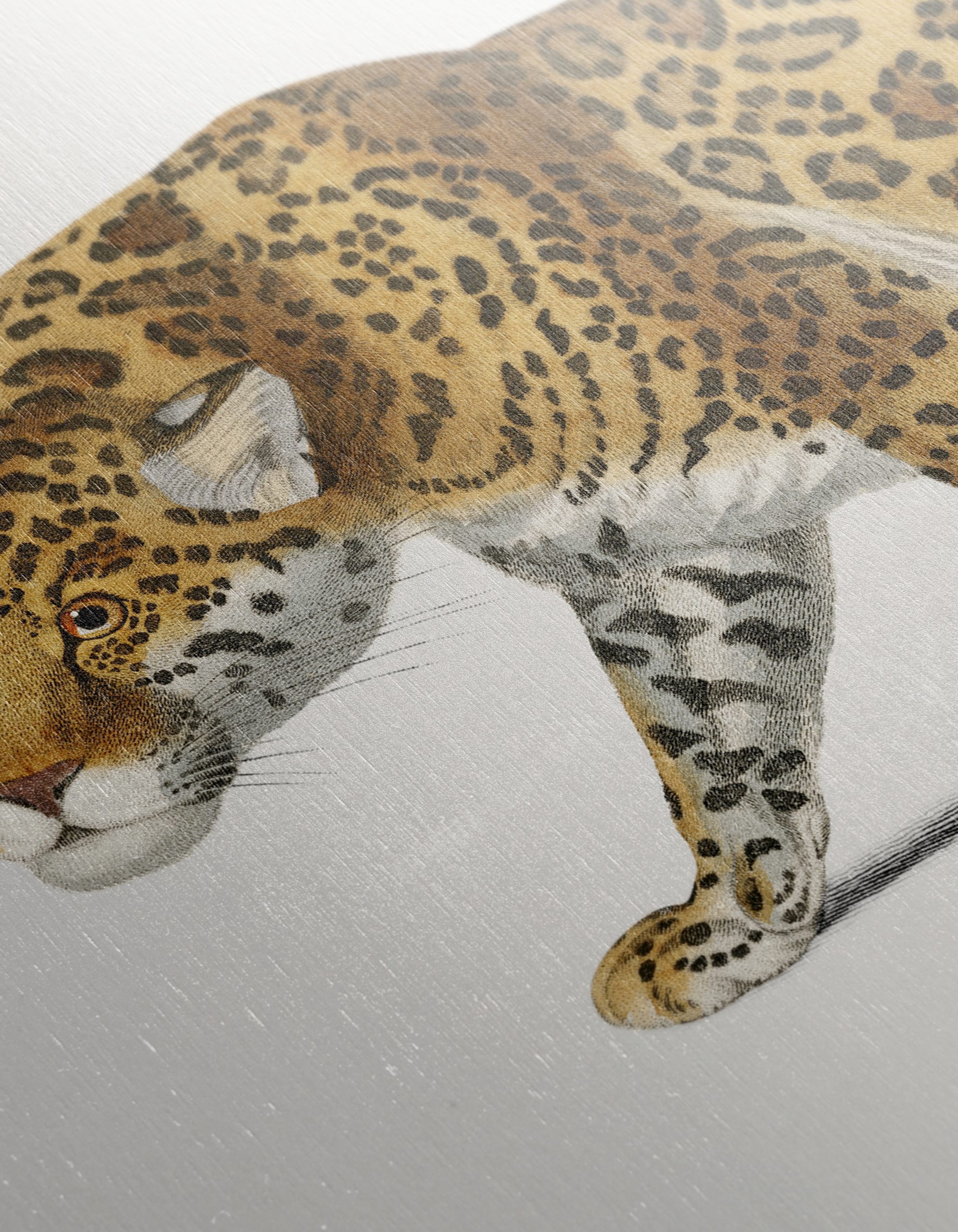 Stylized Jaguar Artwork for Animal Lovers - Image 12