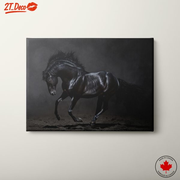 Dynamic Black Horse Wall Art