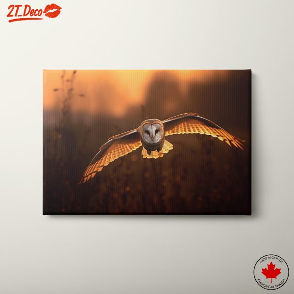 Majestic Barn Owl in Flight