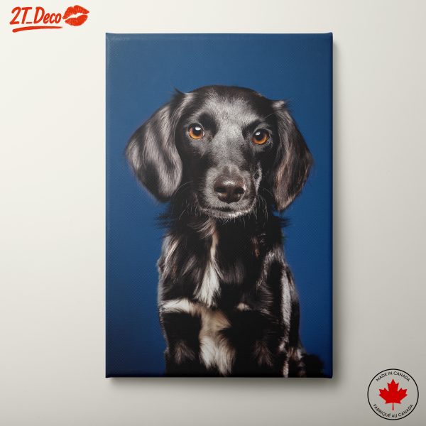 Black Dog Portrait on Blue Background