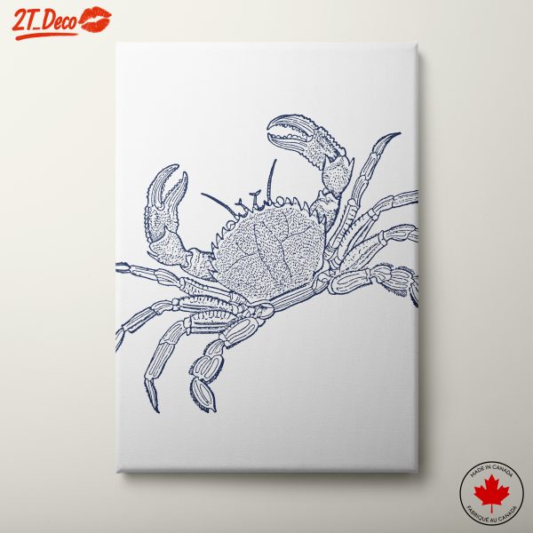 Elegant Crab Line Art