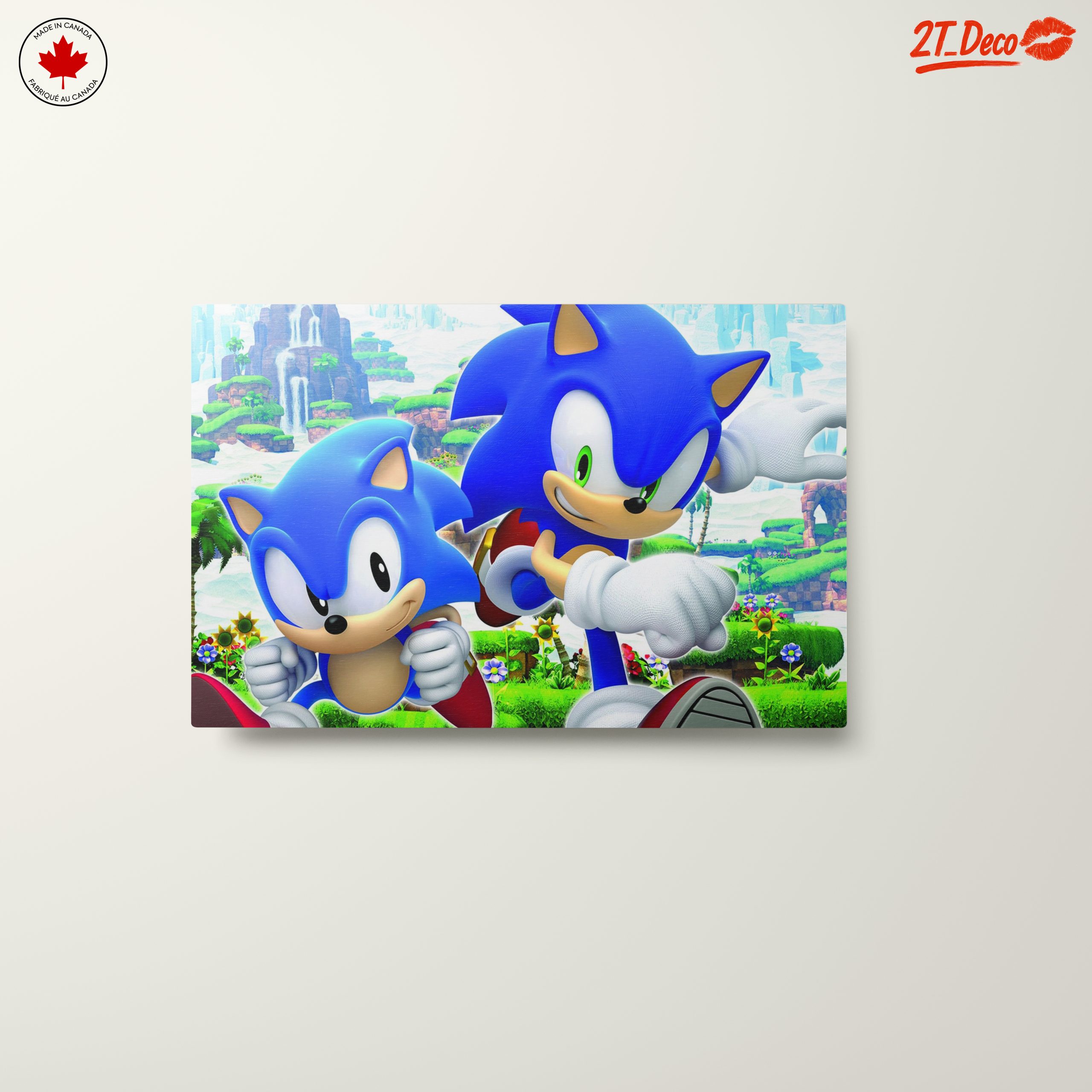 Sonic Characters in Playful Action - Image 10