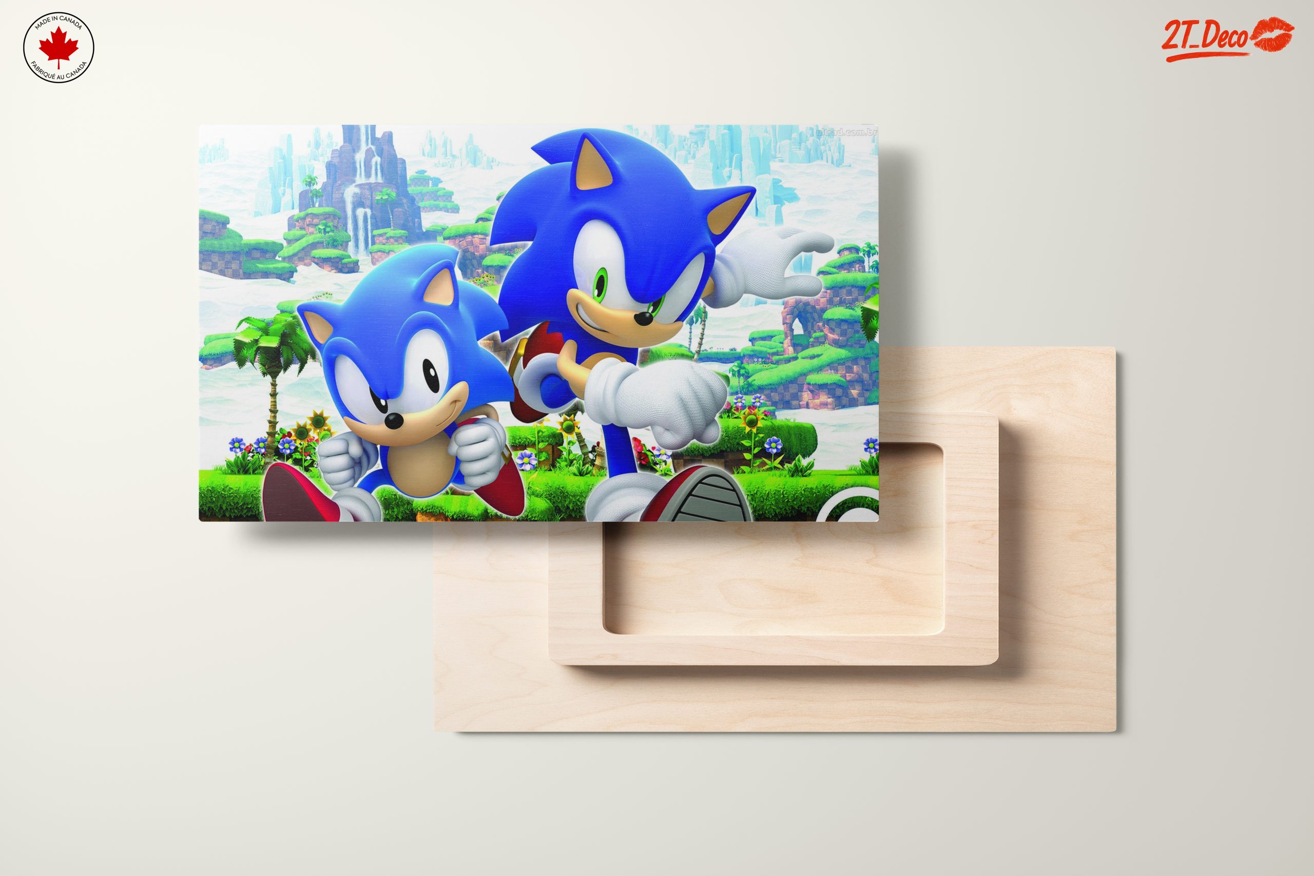 Sonic Characters in Playful Action - Image 11