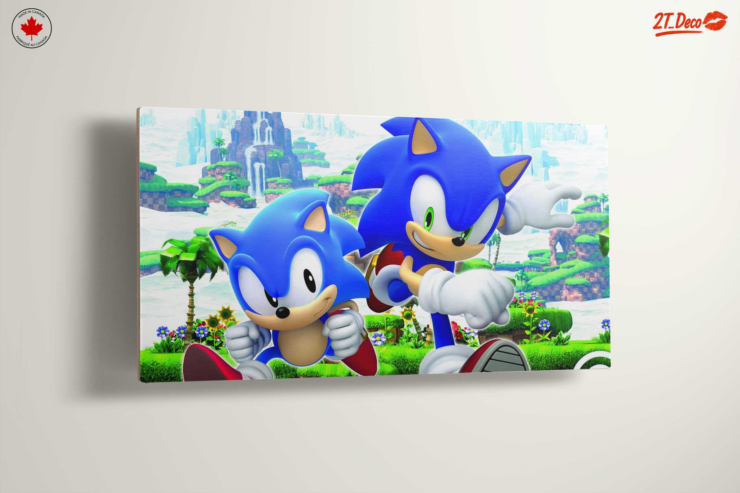 Sonic Characters in Playful Action - Image 13