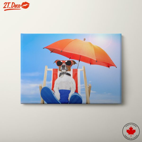 Relaxed Dog Enjoying a Sunny Day