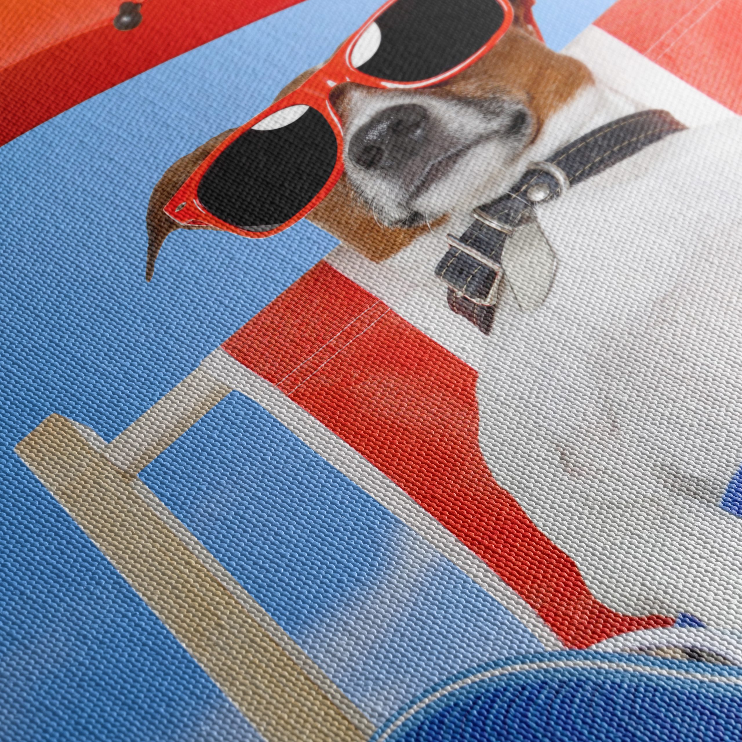 Relaxed Dog Enjoying a Sunny Day - Image 5