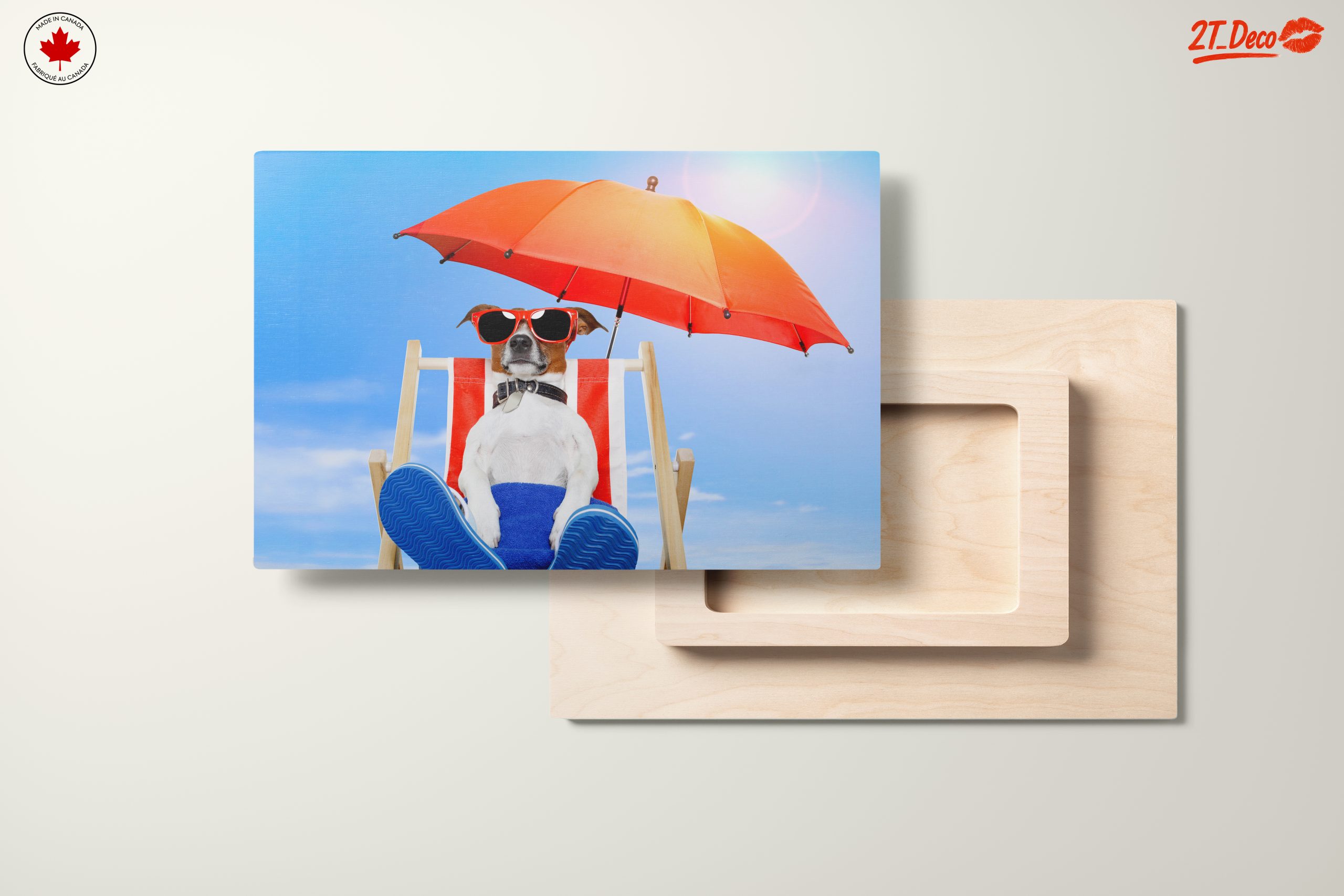 Relaxed Dog Enjoying a Sunny Day - Image 11