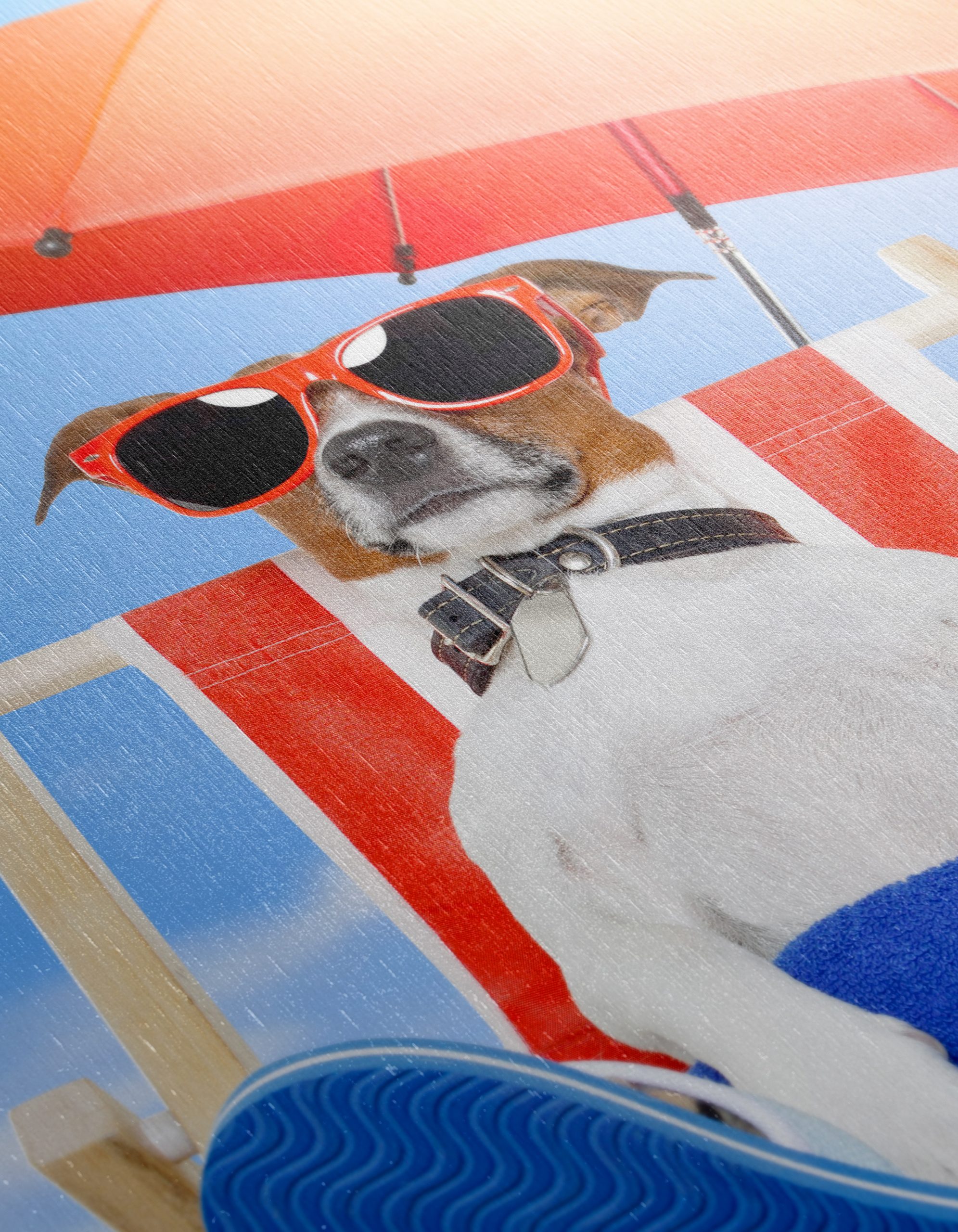 Relaxed Dog Enjoying a Sunny Day - Image 12