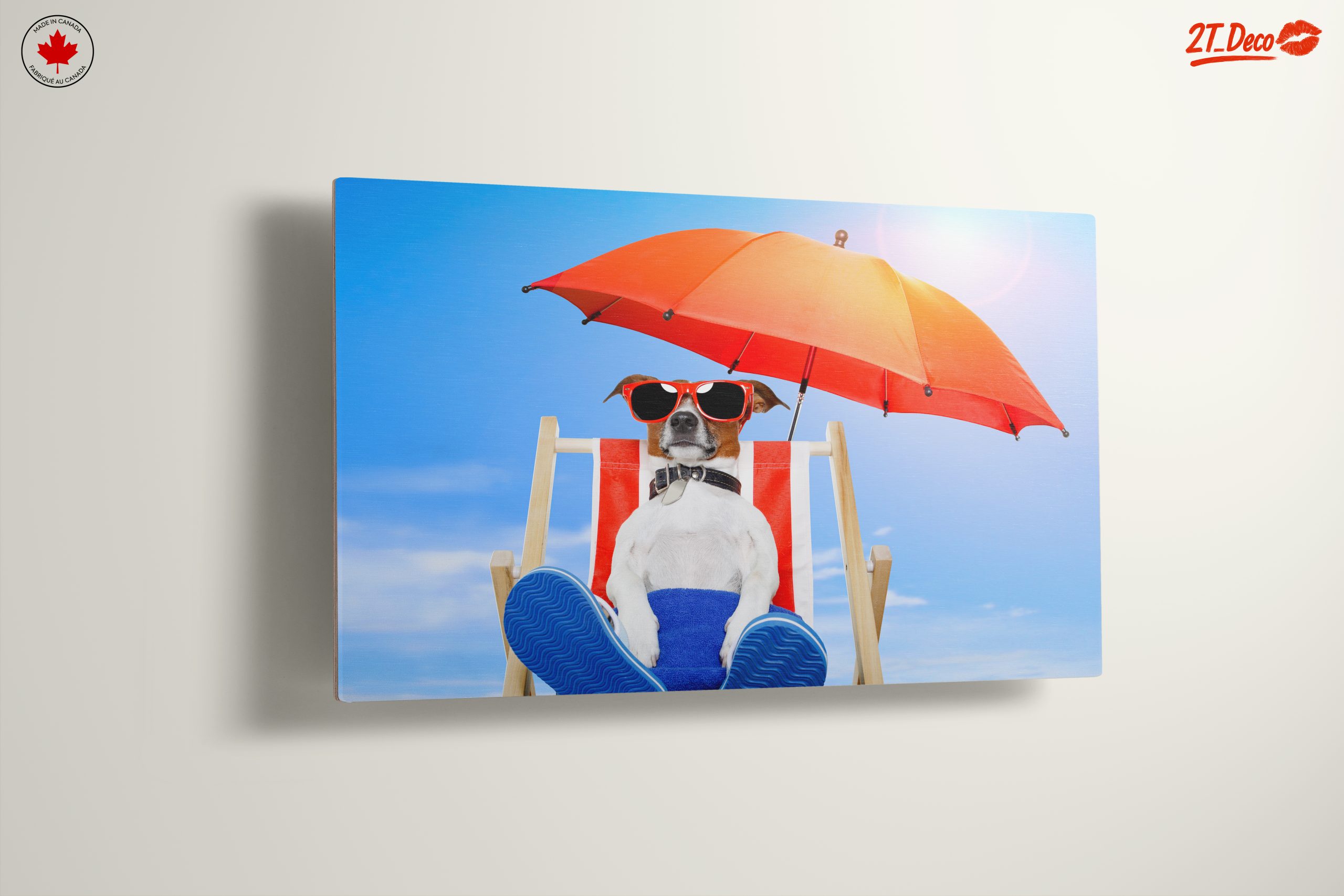 Relaxed Dog Enjoying a Sunny Day - Image 13