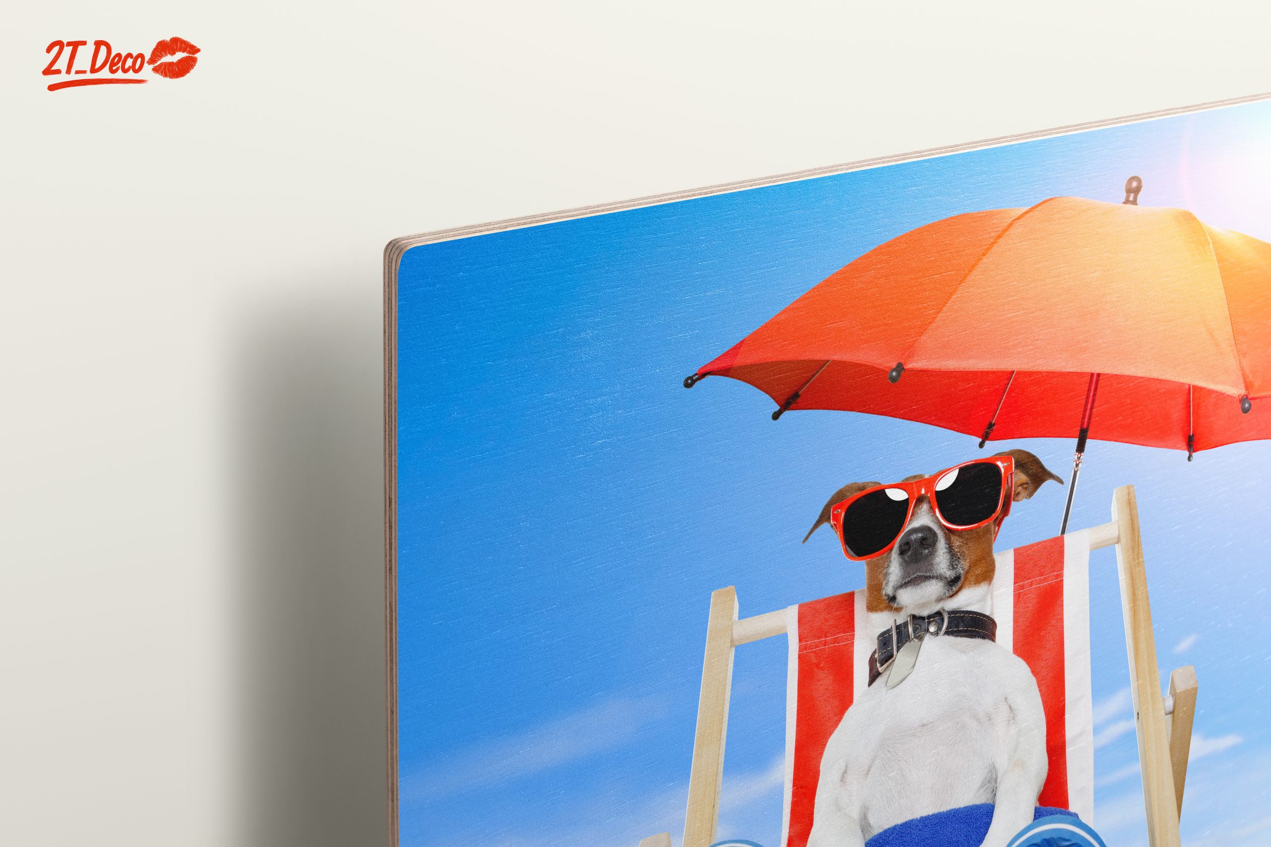 Relaxed Dog Enjoying a Sunny Day - Image 15