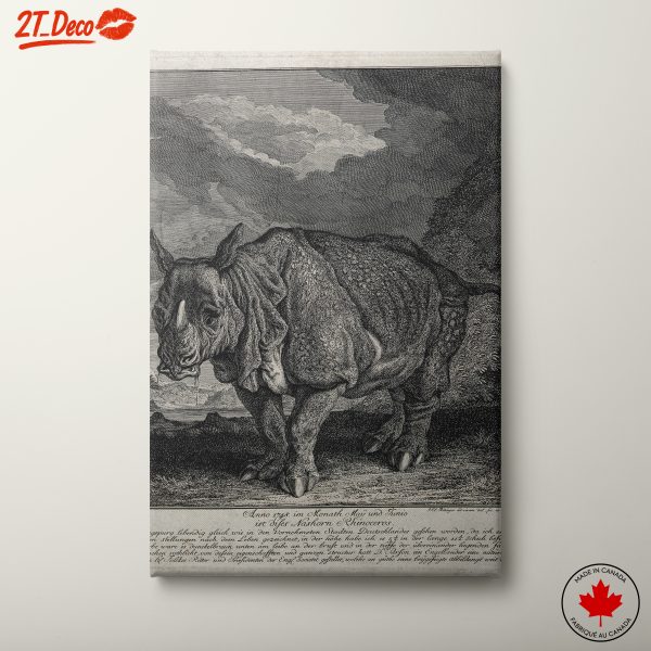 Artistic Representation of a Rhinoceros