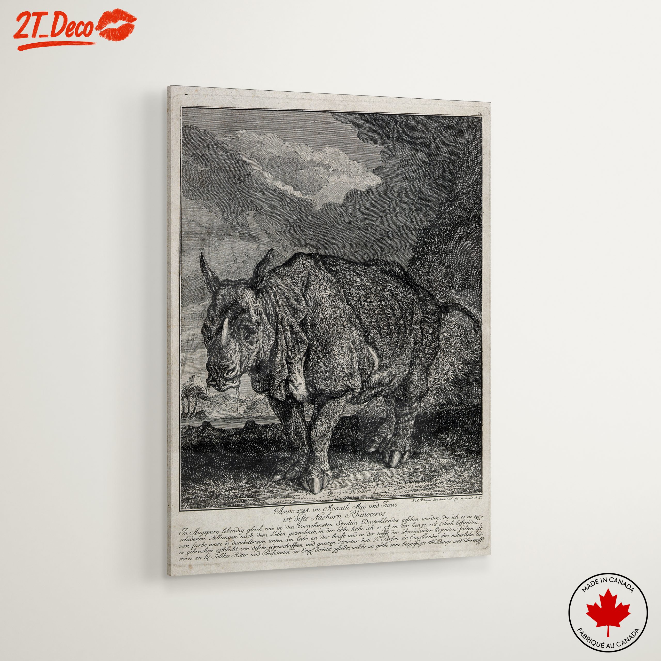 Artistic Representation of a Rhinoceros - Image 6