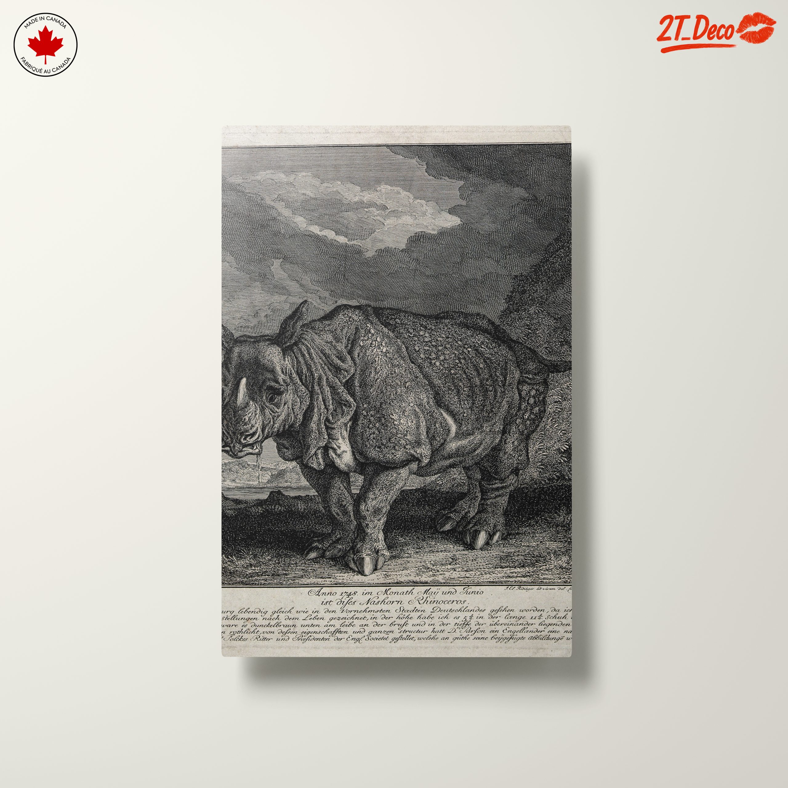 Artistic Representation of a Rhinoceros - Image 10