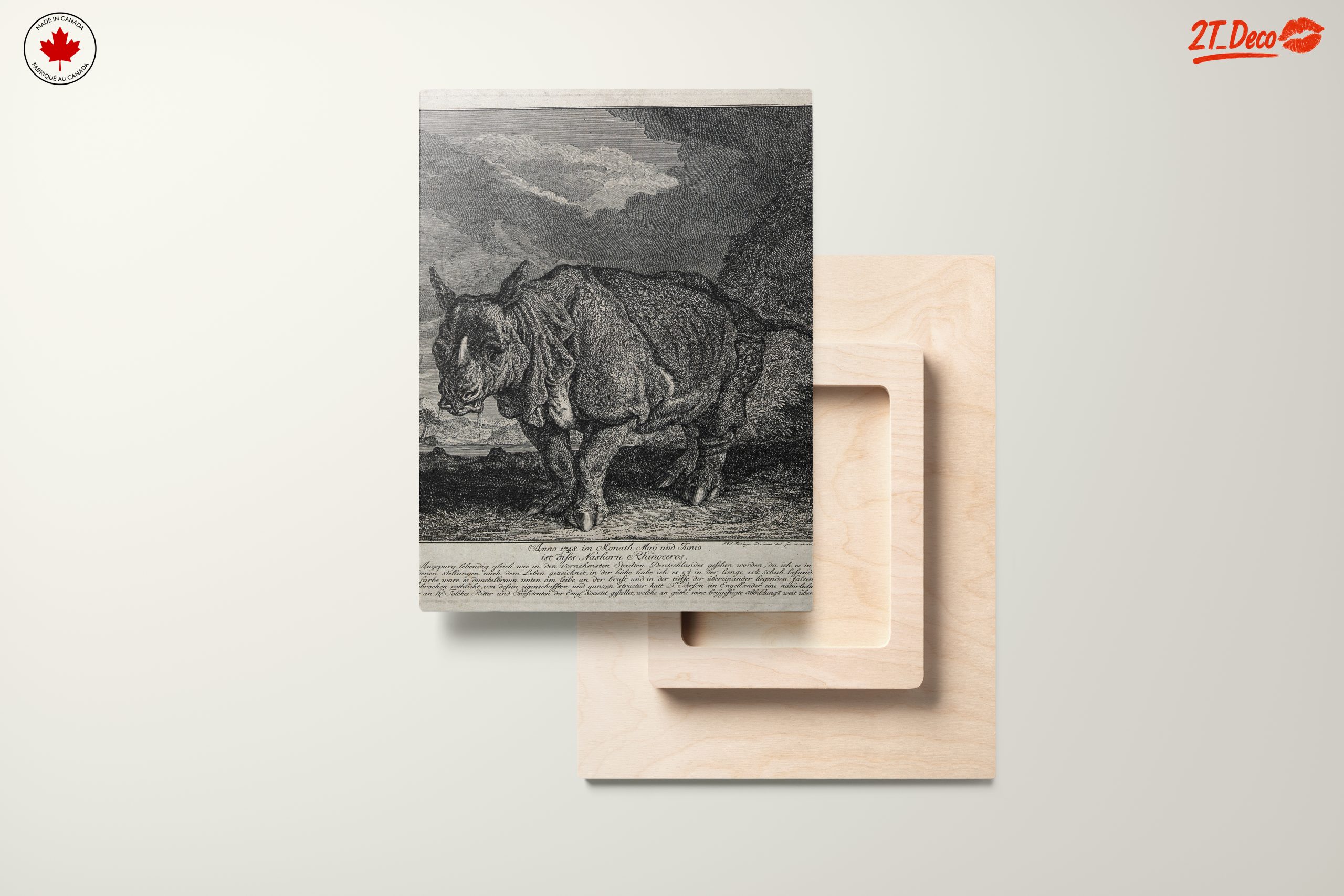 Artistic Representation of a Rhinoceros - Image 11