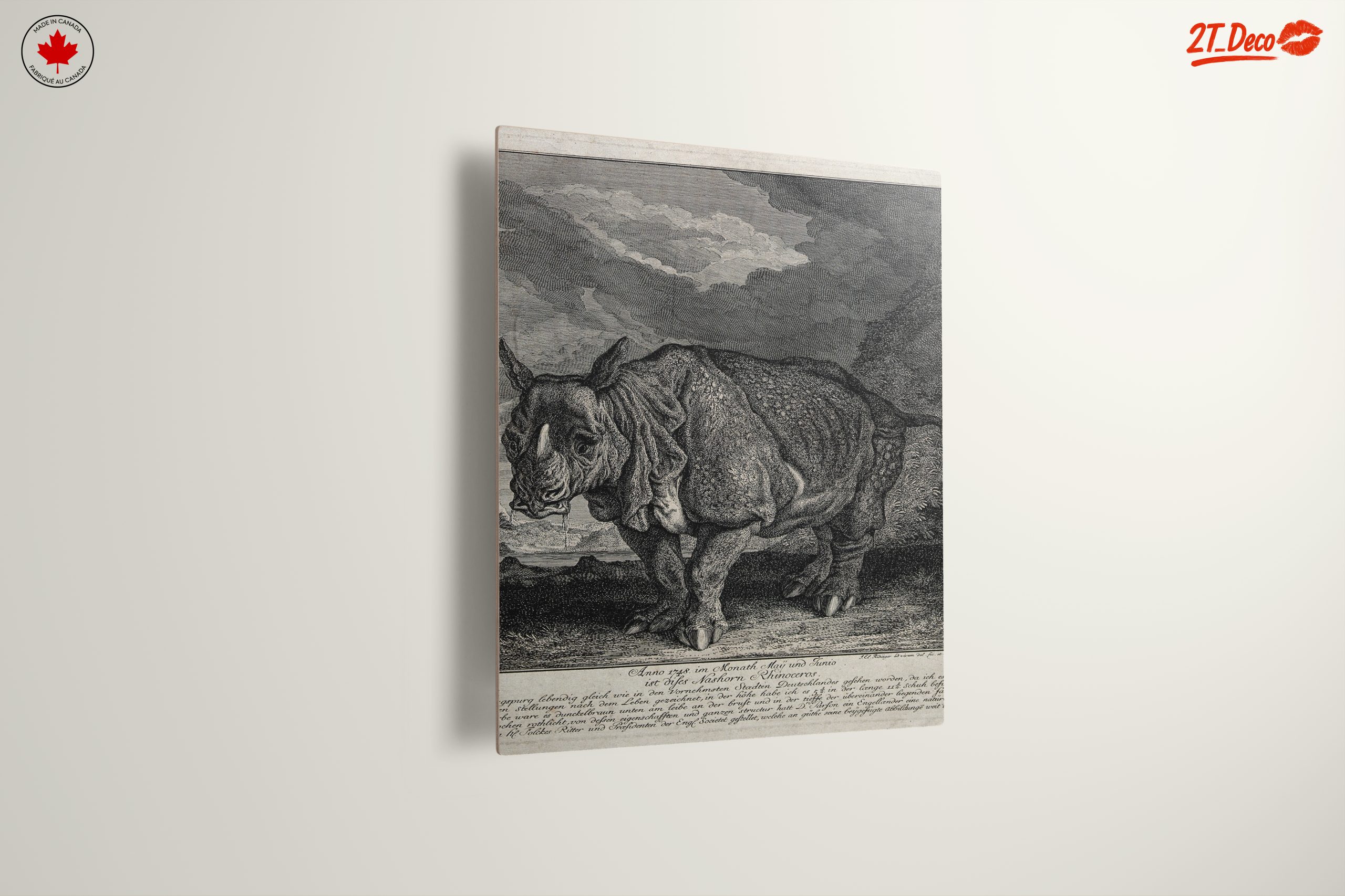 Artistic Representation of a Rhinoceros - Image 13