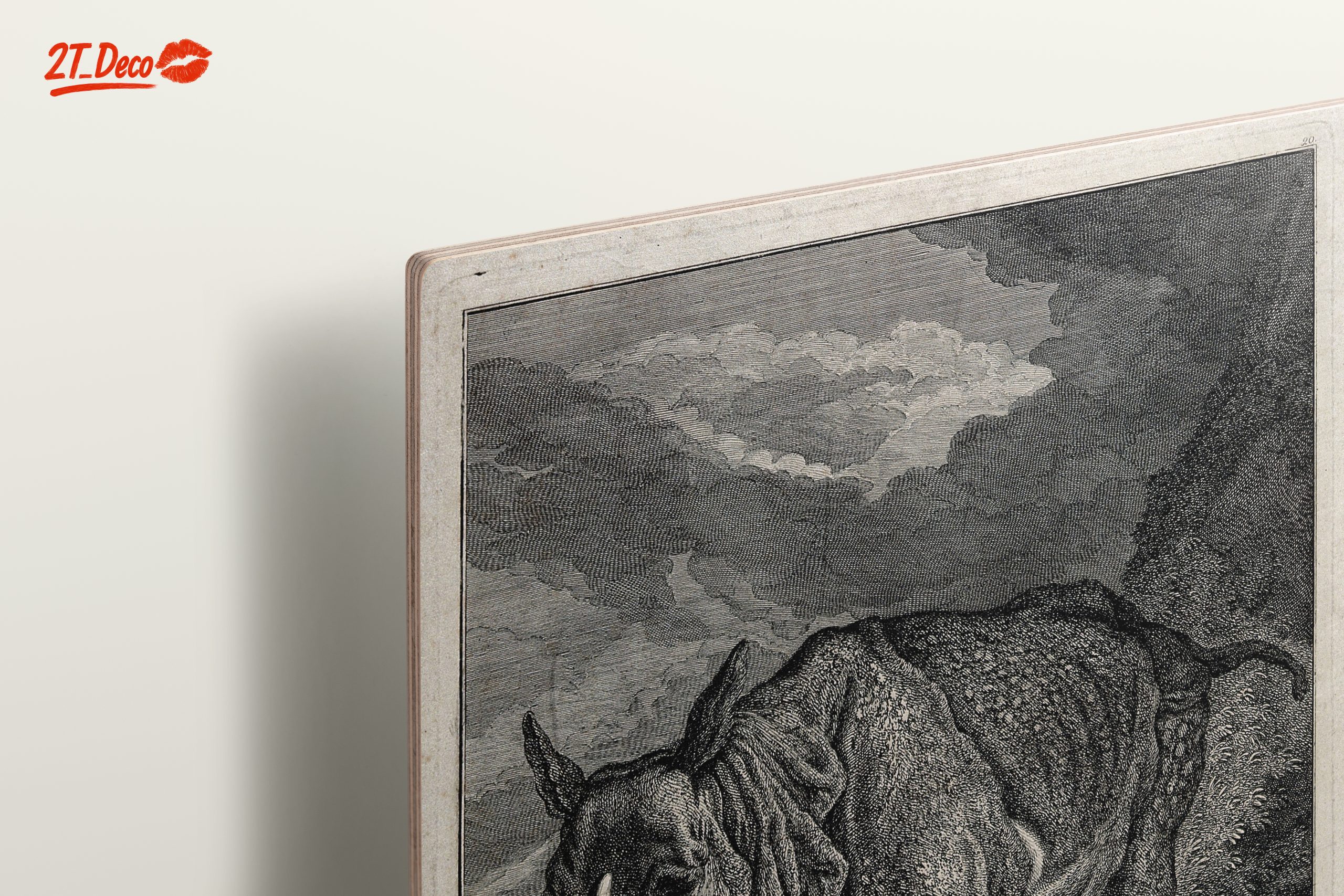 Artistic Representation of a Rhinoceros - Image 15
