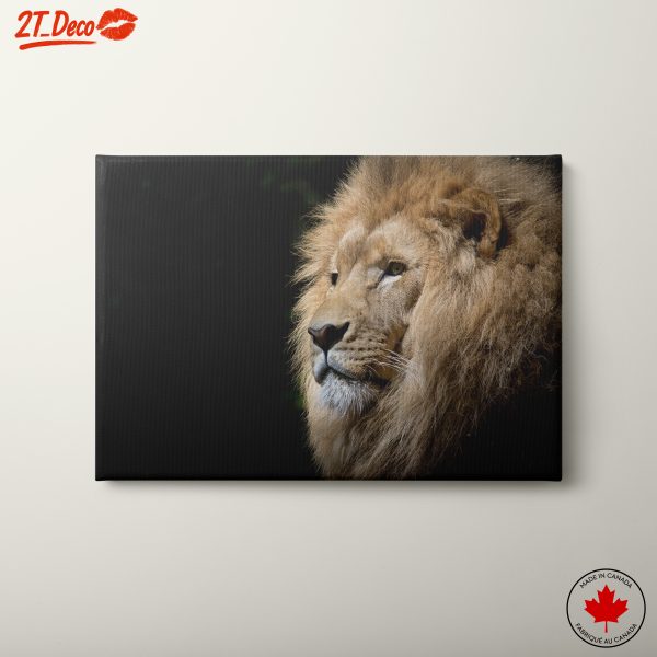 Majestic Lion Portrait Wall Art 3