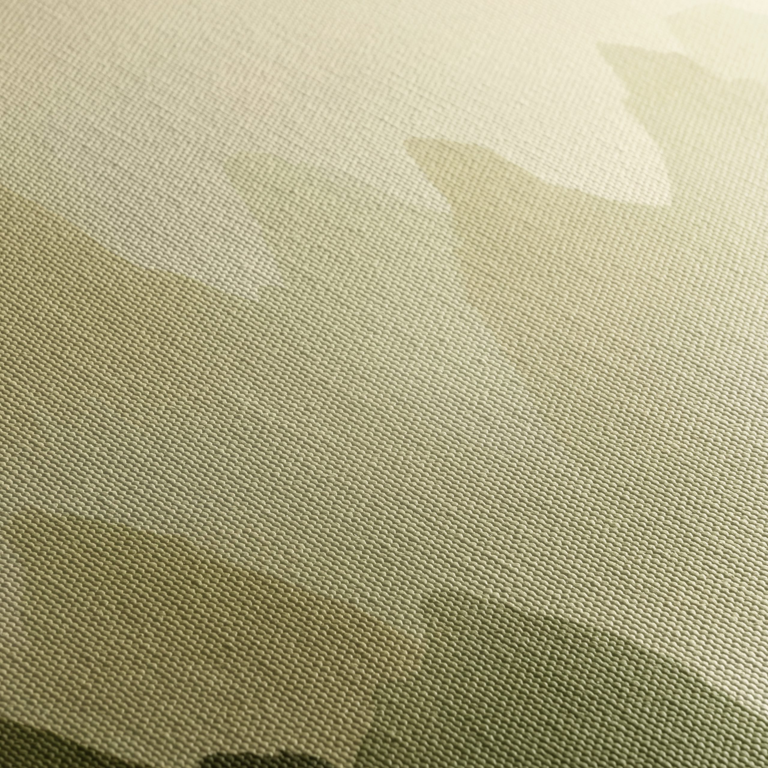 The Painted Veil Artistic Film Artwork - Image 5