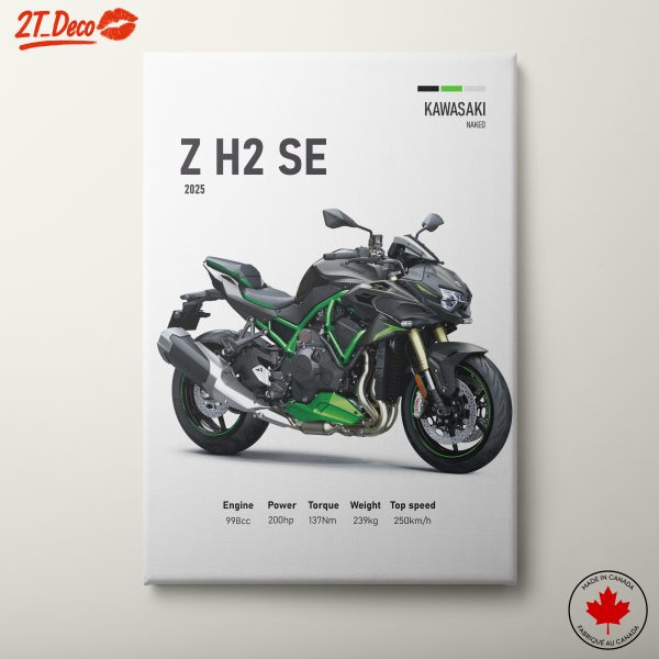Kawasaki Z H2 SE Motorcycle Design Art