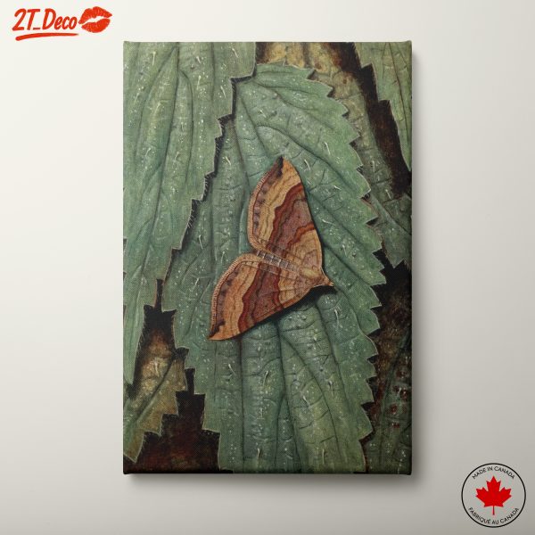 Realistic Butterfly on Green Leaves