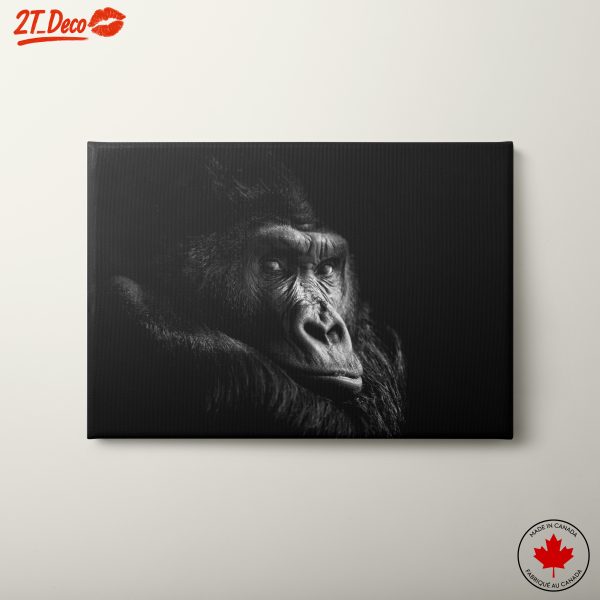 Stunning Black and White Gorilla Portrait
