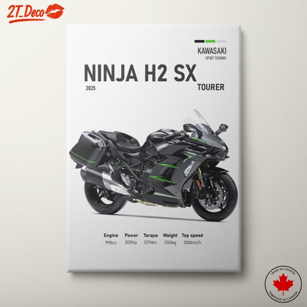 Kawasaki Ninja H2 SX Tourer Motorcycle Art