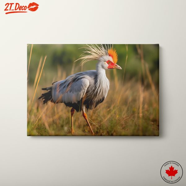 Stunning Bird Wall Art