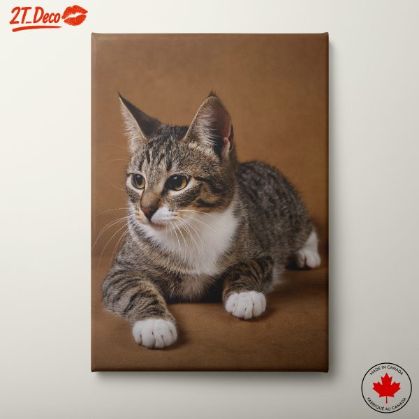 Elegant Domestic Cat Wall Art