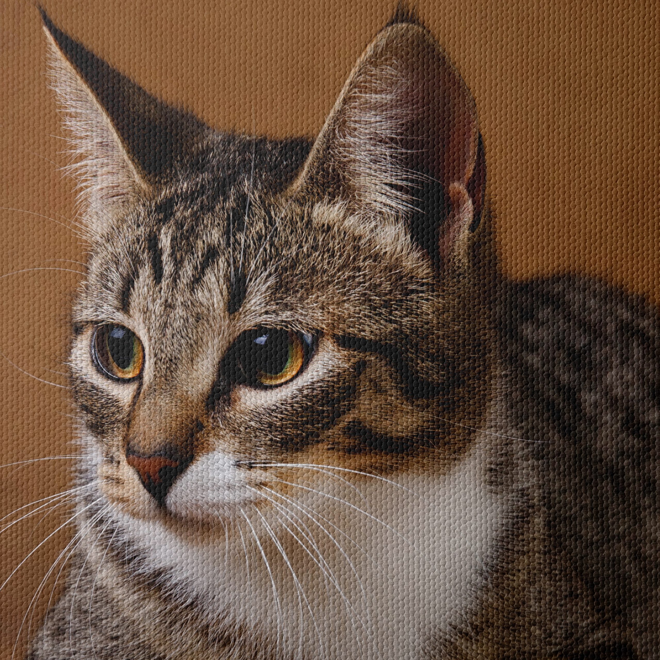 Elegant Domestic Cat Wall Art - Image 4
