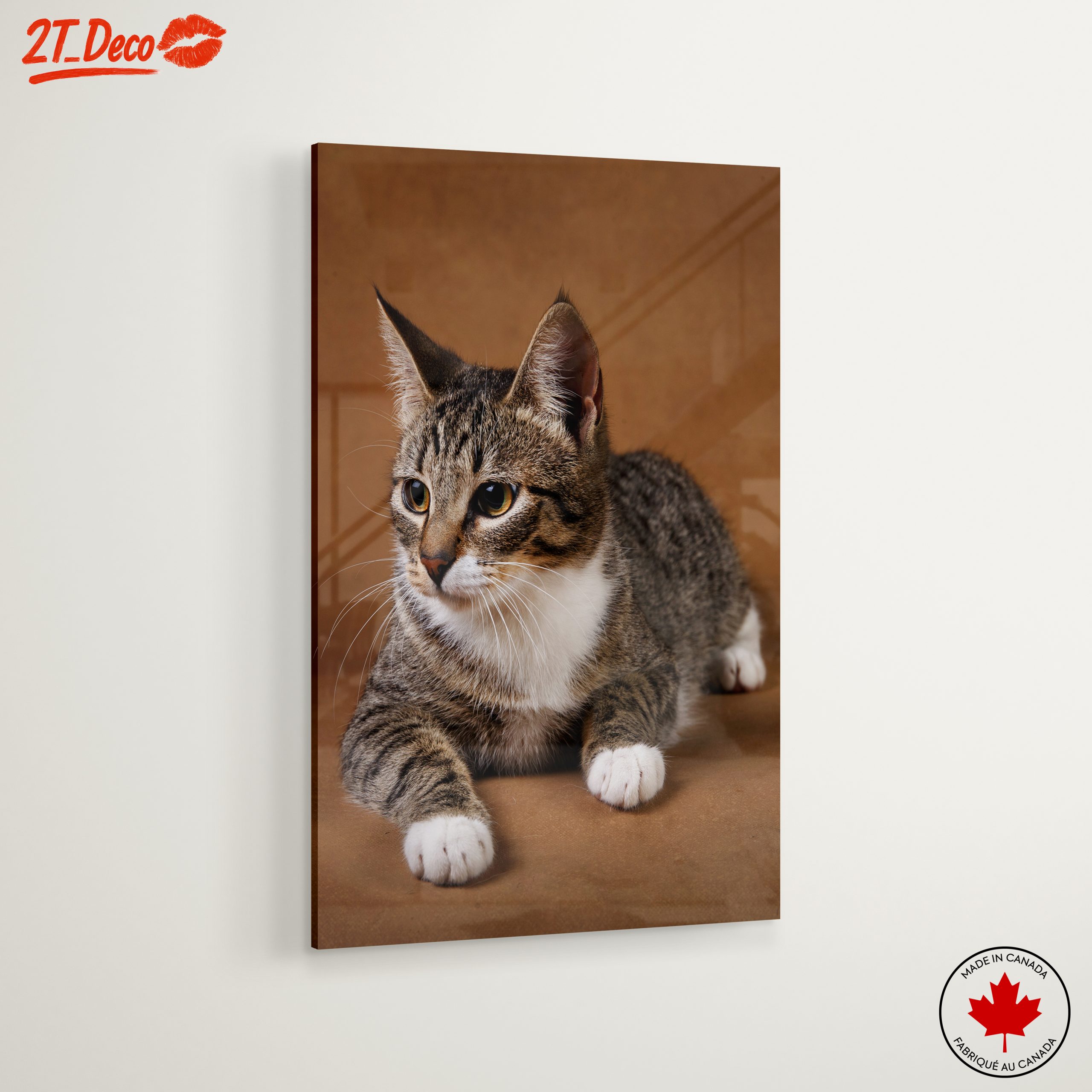 Elegant Domestic Cat Wall Art - Image 6
