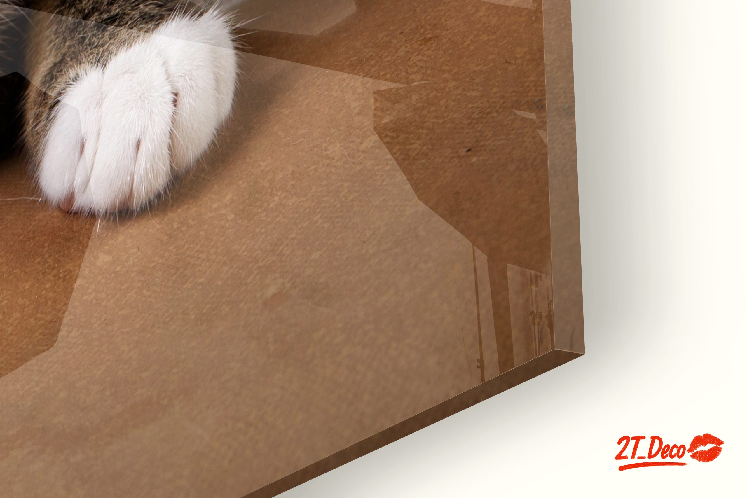 Elegant Domestic Cat Wall Art - Image 9