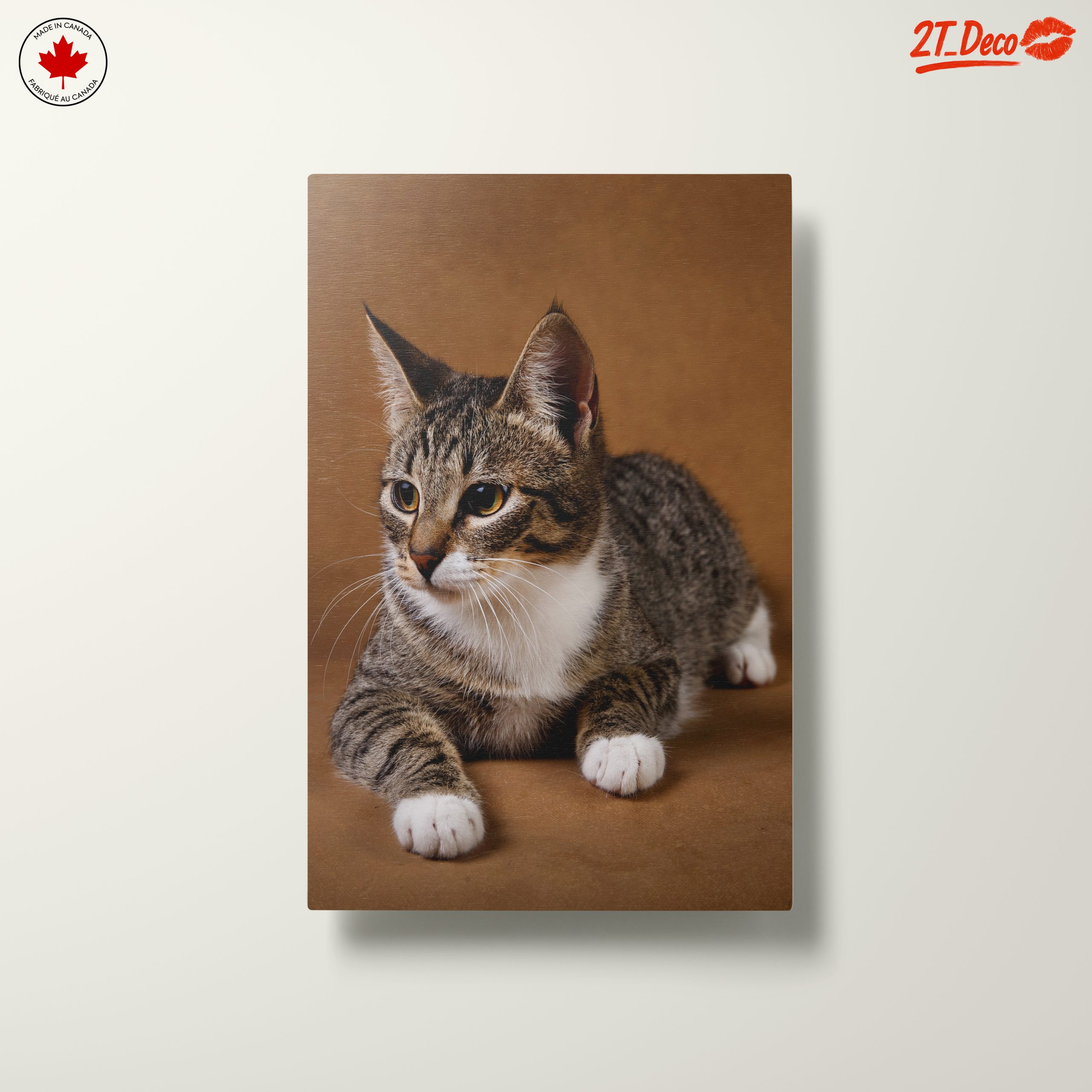 Elegant Domestic Cat Wall Art - Image 10