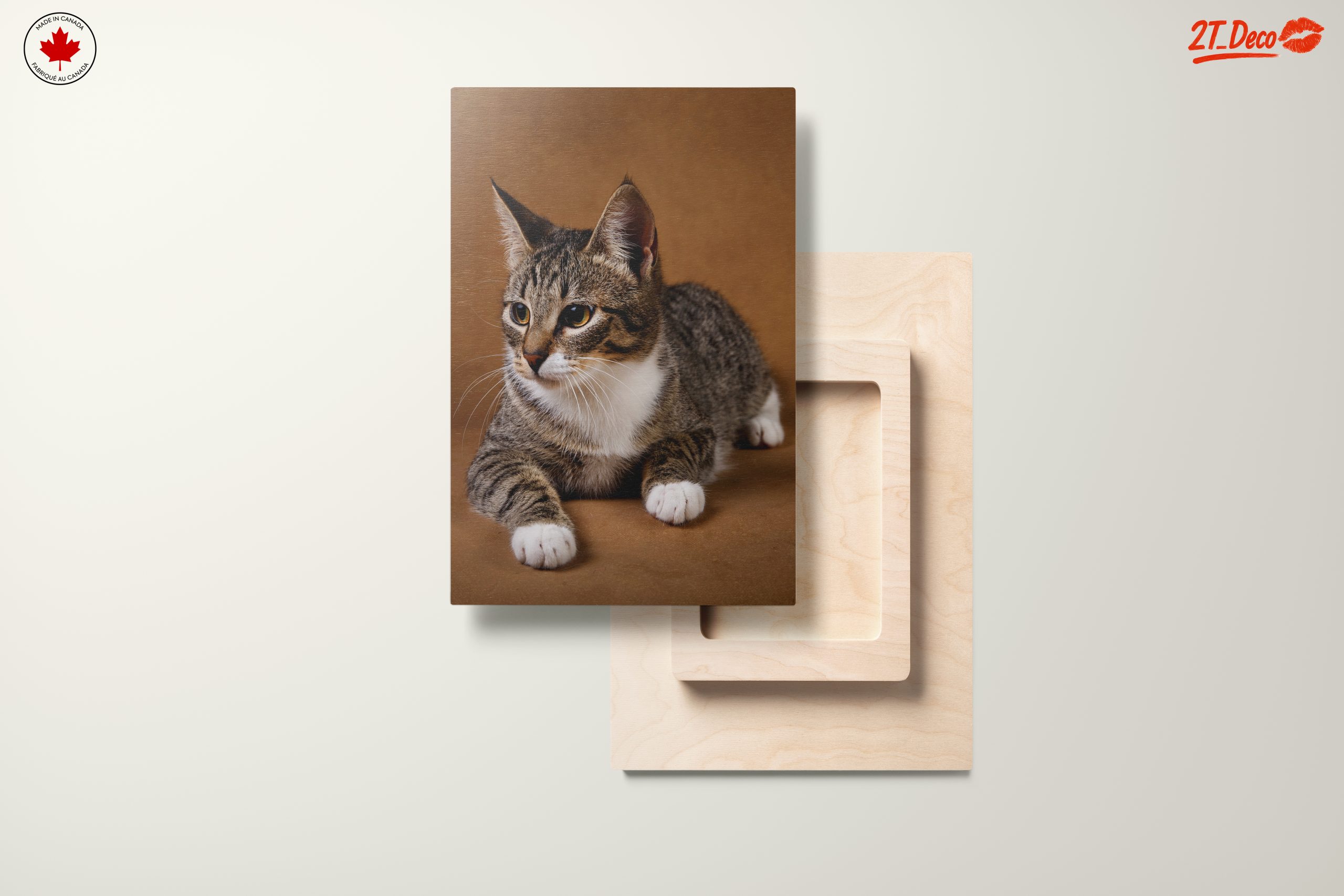 Elegant Domestic Cat Wall Art - Image 11