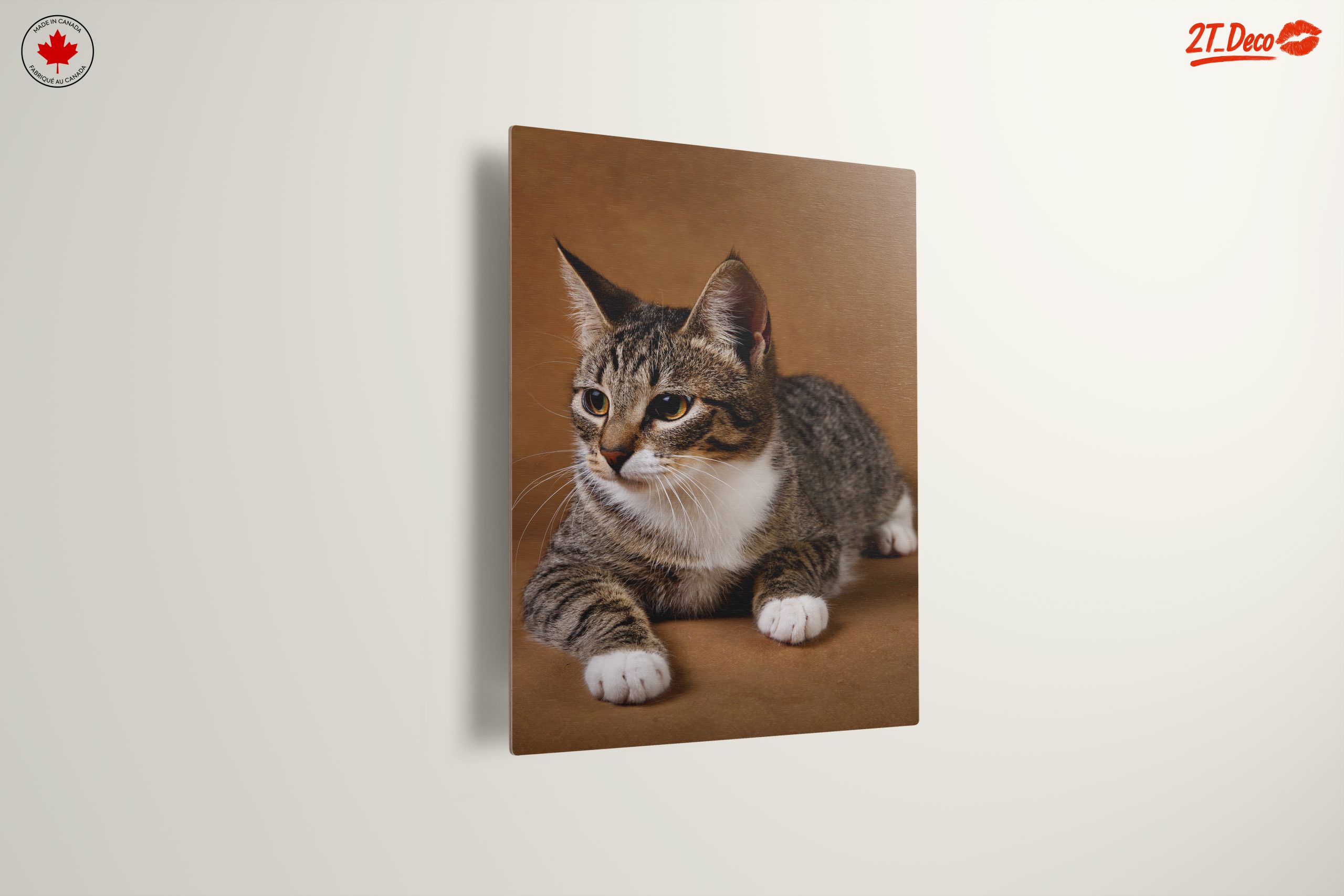 Elegant Domestic Cat Wall Art - Image 13
