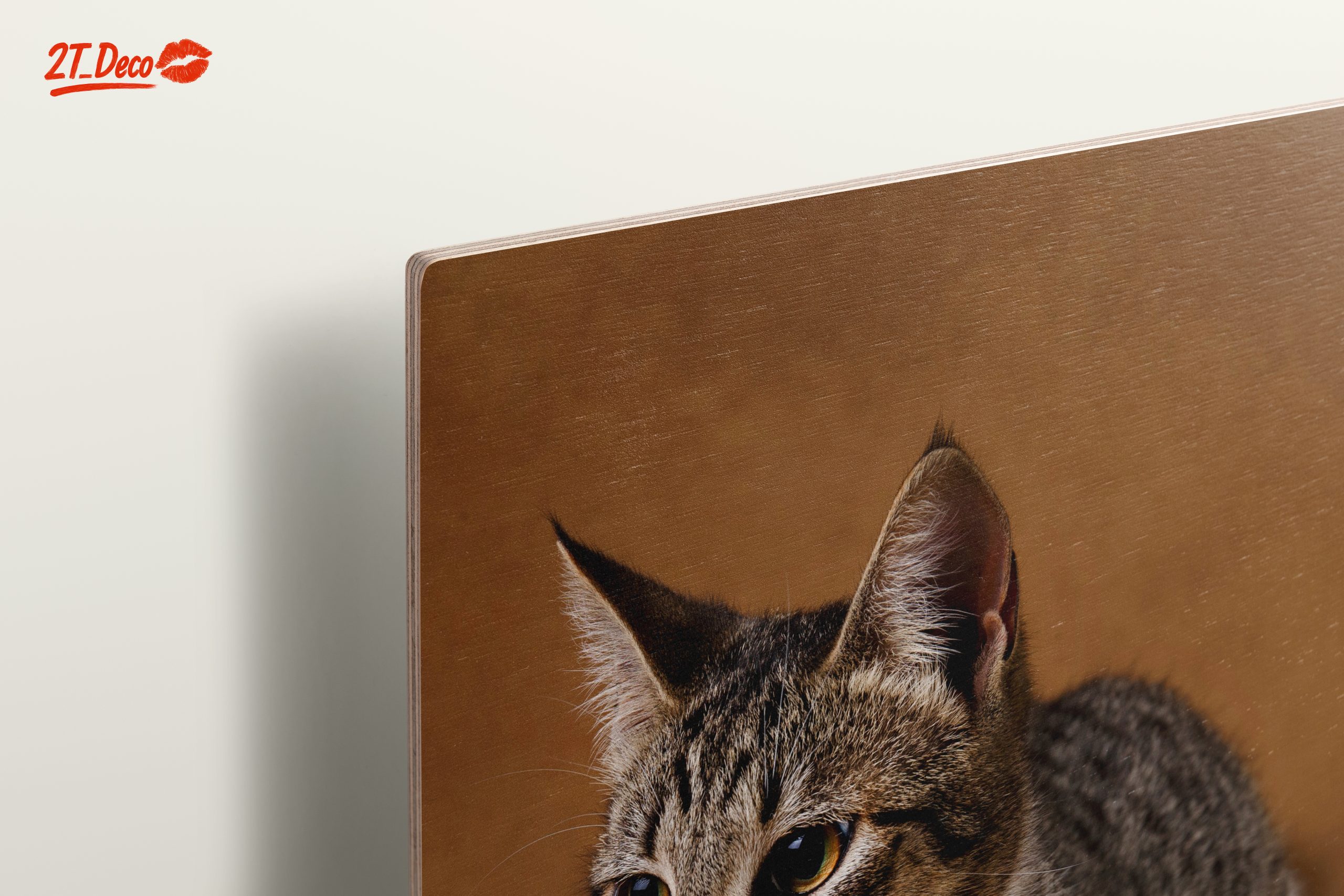 Elegant Domestic Cat Wall Art - Image 15